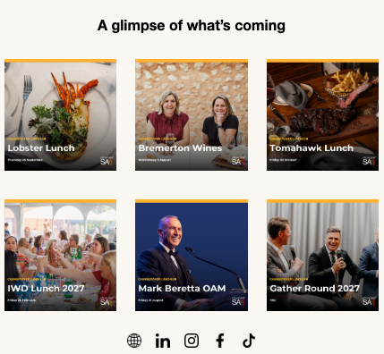 Showcase SA newsletter example